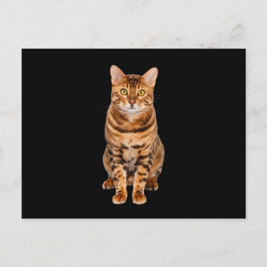 Amazing Bengal Kitten Briefkaart (Voorkant)