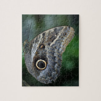 Amazing Caligo Eurilochus Butterfly Legpuzzel