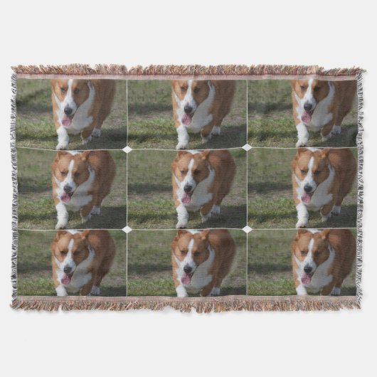 Amazing Corgi Deken (Voorkant)