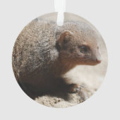 Amazing Dwarf Mongoose Ornament (achterkant)