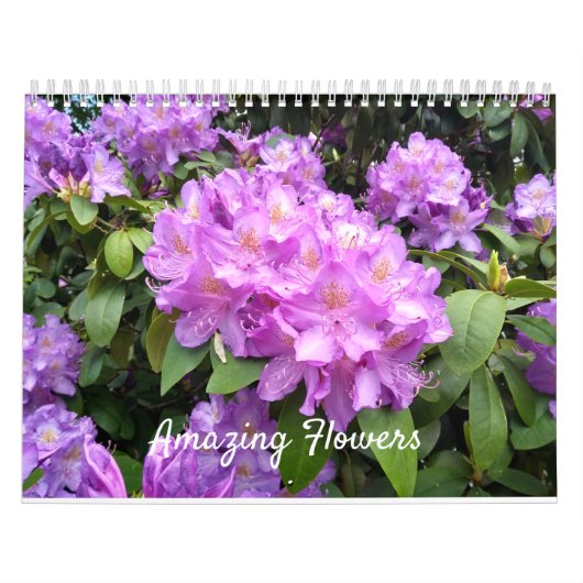 Amazing Flowers Wall Calendar Kalender (Hoes)