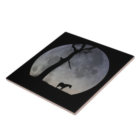 Amazing Horse and Moon Art Tegel Tegeltje (Zijkant)