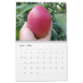 Amazing mango kalender 2023 (Mar 2026)