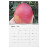 Amazing mango kalender 2023 (Feb 2027)