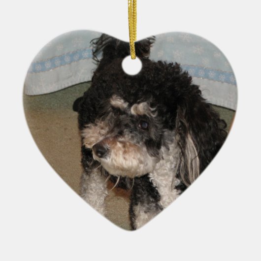 Amazing Moxie Keramisch Ornament (Voorkant)