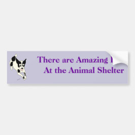 Amazing Pets Bumpersticker 17