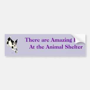 Amazing Pets Bumpersticker 17