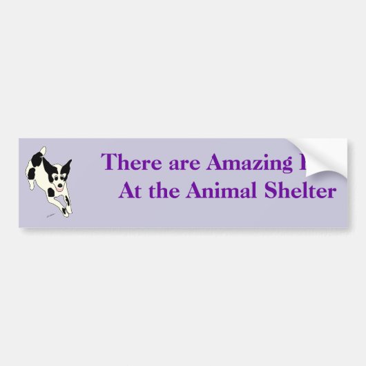 Amazing Pets Bumpersticker 17 (Voorkant)
