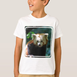 Amazing Red Panda T-shirt