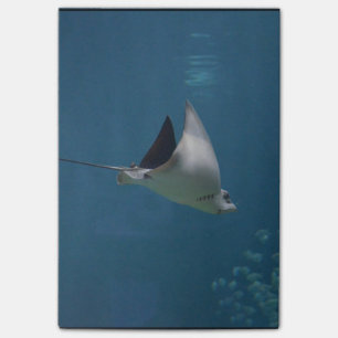 Amazing Stingray Post-it® Notes