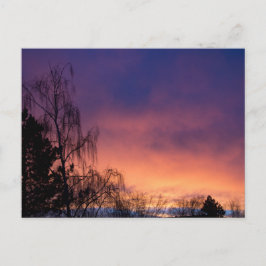 Amazing Winter Dawn Briefkaart