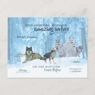 Amazing Wolves Typografie Gepersonaliseerd Briefkaart