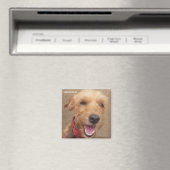 Amazon Humane Society Magnet: Precious Dog-serie Magneet (Insitu (Vaatwasser))