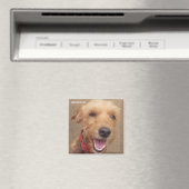 Amazon Humane Society Magnet : Precit Dog Series - (In Situ (Lave-vaisselle))