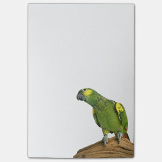 Amazon Post-it® notes 4 x 6