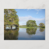 AMAZON RAINFOREST. BRIEFKAART (Voorkant)