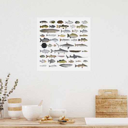 Amazon River Basin Fish Group Poster (Keuken)