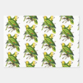 Amazona Parrots - vogels Inpakpapier Vel (Voorkant)