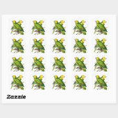 Amazona Parrots -  vogels Vierkante Sticker (Vel)