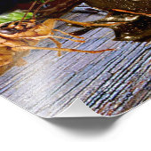 AMAZONIA FOTO AFDRUK (Hoek)