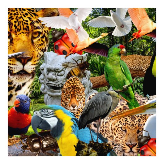 AMAZONIA FOTO AFDRUK (Voorkant)