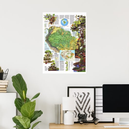 " Amazonië : 1992 A World Resource at Risk MAP ... Poster (Thuiskantoor)