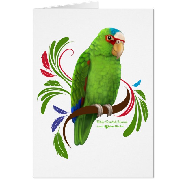 Amazonie à frontières blanches (Devant)