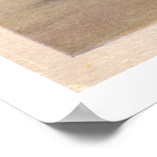 ambassadeursbrug Windsor Canada Poster (Hoek)