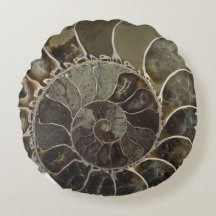 Amber Crystal Nautilus Shell Kussen