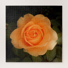 Amber Flush Roos Jigzaag Puzzle Legpuzzel