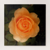 Amber Flush Rose Puzzle (Horizontal)
