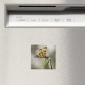 Amber Wings Magneet (Insitu (Vaatwasser))