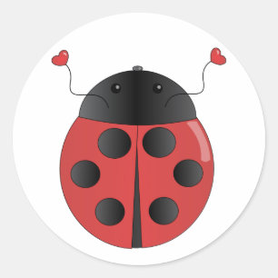amberbug ronde sticker