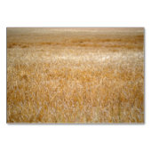 Ambergolven van graan kaart (Voorkant)