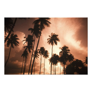 Ambergris Caye, Belize, Midden-Amerika. 2 Foto Afdruk