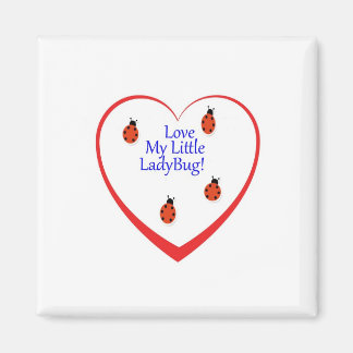 Ambers Lady Bug Magnet Magneet