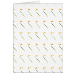 Ambervleugels, overal om