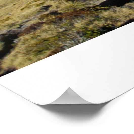 Ambitie Poster (Hoek)