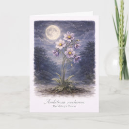 Ambitiosa Nocturna - The Midnight Planner Kaart