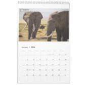 Amboseli Icons Calendar Kalender (Jan 2026)