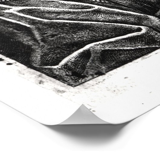 Ambroise Pare 1582 Poster (Hoek)