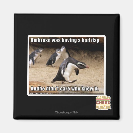 Ambrose had een slechte dag magneet (Voorkant)