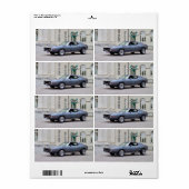 AMC Javelin SST 1974 Etiket (Full Sheet)