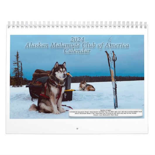 AMCA-kalender 2024 Kalender (Hoes)