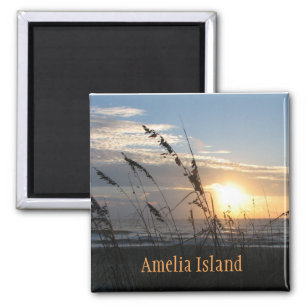 Amelia Island aimant