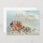 Amelia Island, FL Seashell Briefkaart (Voorkant / Achterkant)