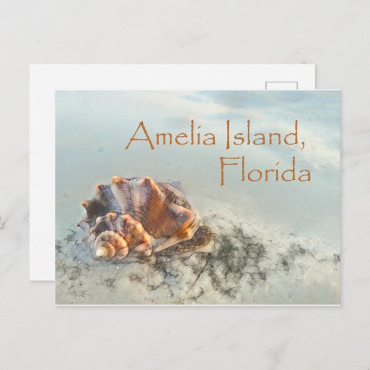 Amelia Island, FL Seashell Carte postale (Devant / Derrière)