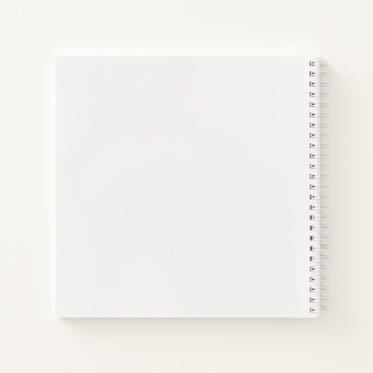 Amelia Island Lighthouse Carnet (Dos)