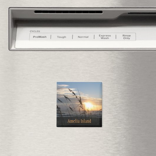 Amelia Island magneet (Insitu (Vaatwasser))