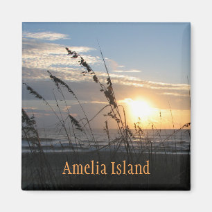 Amelia Island magnet Magneet